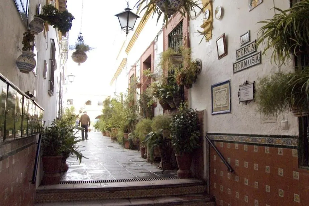Tipico Y Pintoresco Patio De Vecinos, Con Encanto Sevilla