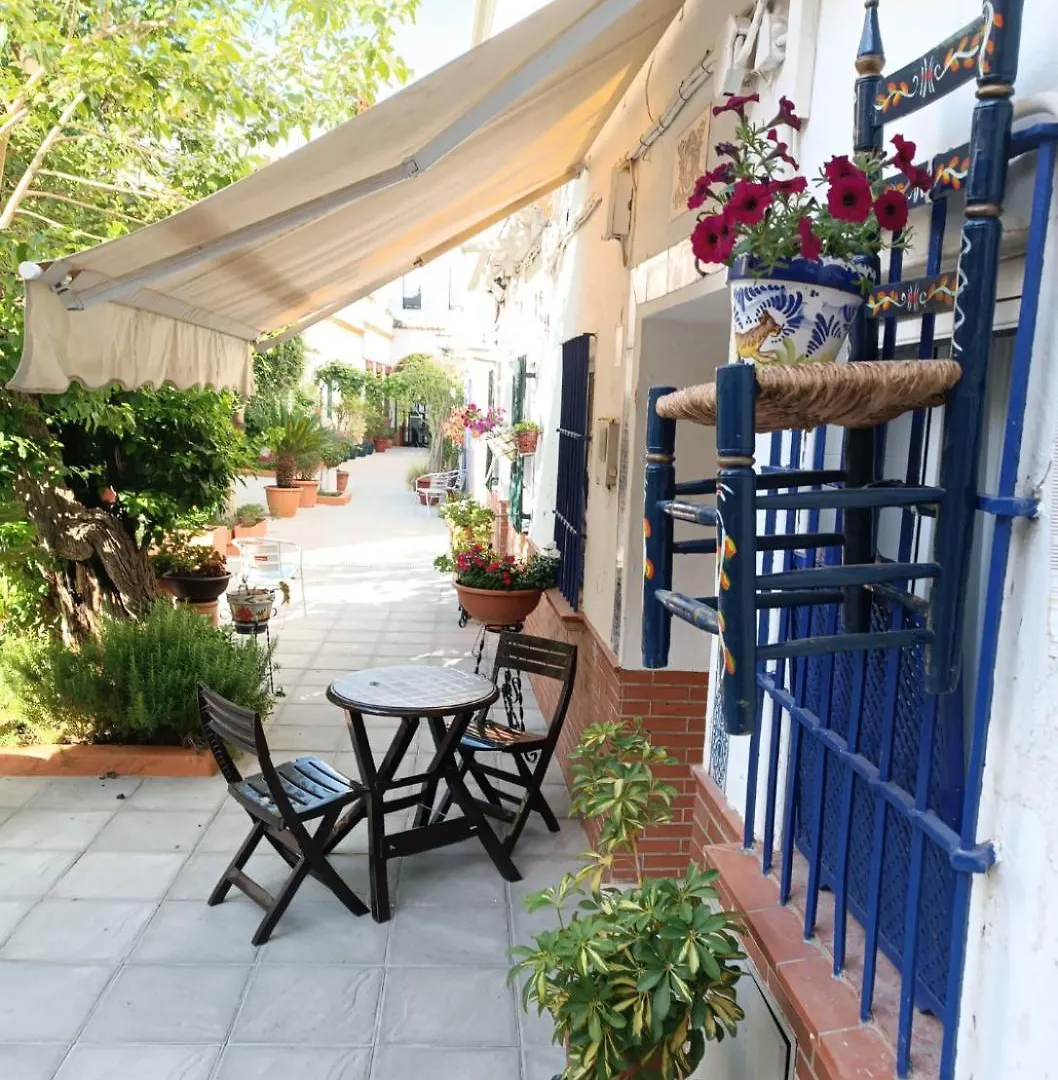 Tipico Y Pintoresco Patio De Vecinos, Con Encanto Sevilla