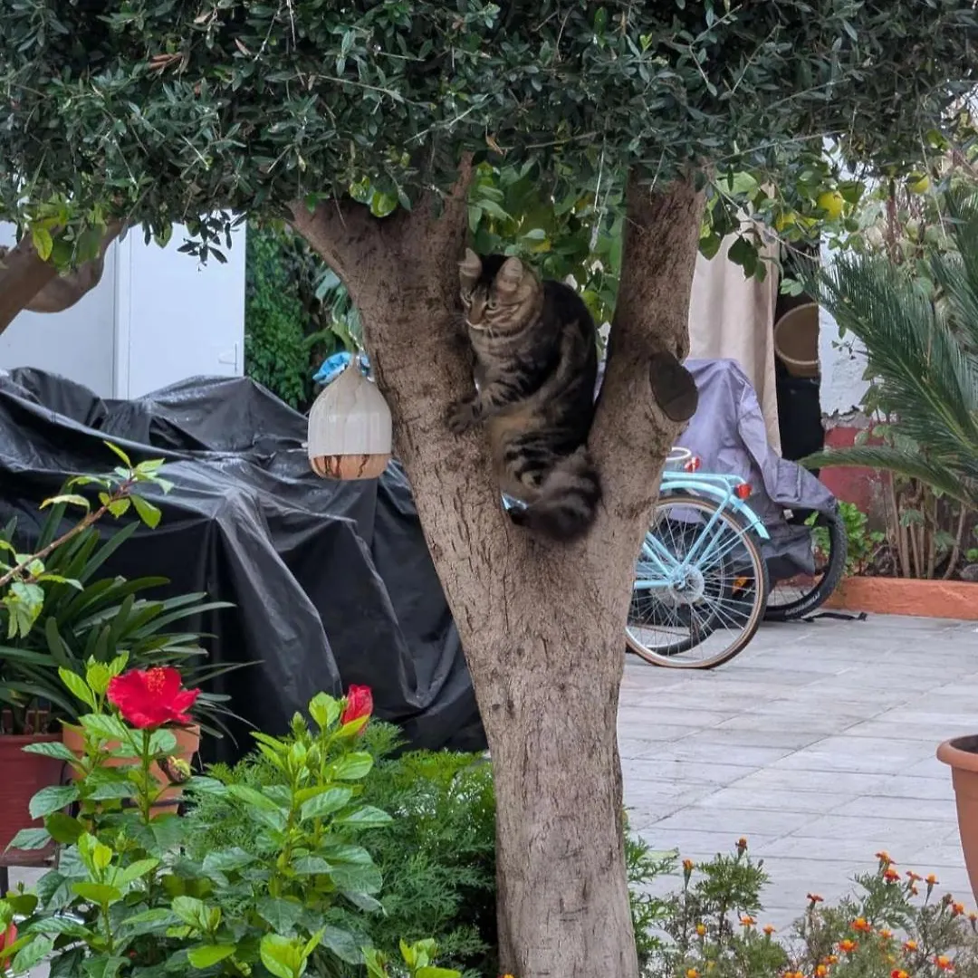 Apartamento Tipico Y Pintoresco Patio De Vecinos, Con Encanto Sevilla
